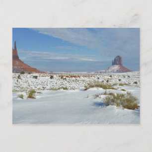 Carte Postale États-Unis, Utah, Monument Valley. L'armoise appar