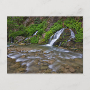 Carte Postale États-Unis, Utah, parc national de Zion. Big Sprin