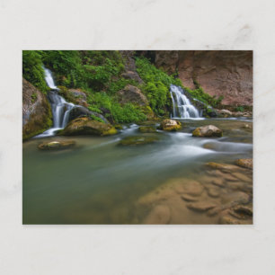 Carte Postale États-Unis, Utah, parc national de Zion. La Virgin