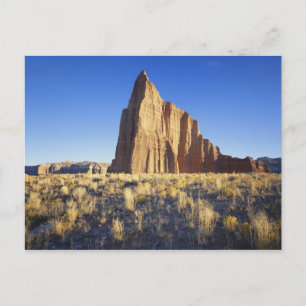 Carte Postale États-Unis, Utah, plateau du Colorado, Lower Cathe