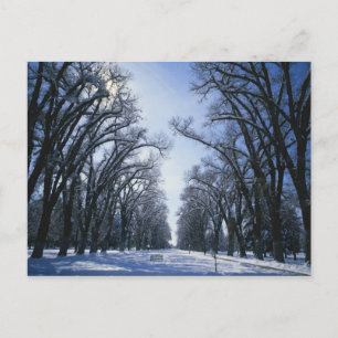 Carte Postale États-Unis, Utah, Salt Lake City, Liberty Park,