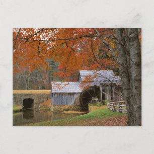 Carte Postale États-Unis, Virginie, Blue Ridge Parkway, Automne