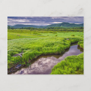 Carte Postale États-Unis, Virginie-Occidentale, Davis. Paysage 2