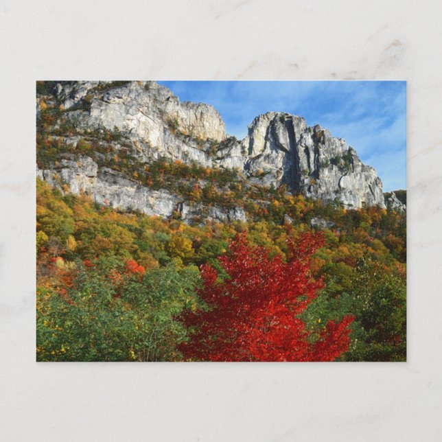 Carte Postale États-Unis, Virginie-Occidentale, Rochers de Spruc (Devant)