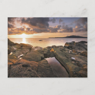 Carte Postale États-Unis, Washington, îles San Juan.  Un spectac