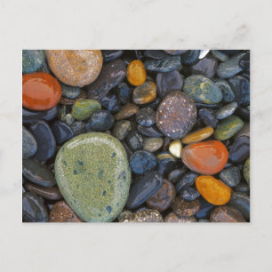 Carte Postale États-Unis, Washington, Lopez Island, Agate Beach