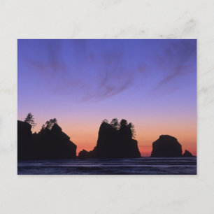 Carte Postale États-Unis, Washington, Parc national Olympique, S
