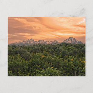 Carte Postale États-Unis, Wyoming, Parc national de Grand Teton 