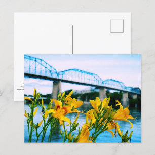 Carte Postale Été à Chattanooga, TN - Pont de rue Walnut