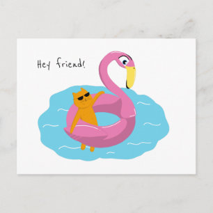 Carte postale été avec chat