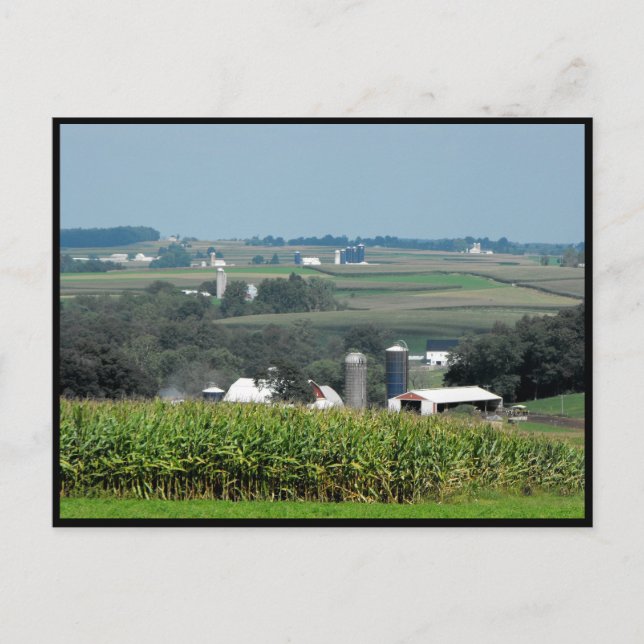 Carte Postale ~ Été dans le comté de Lancaster ~ 62 (Devant)
