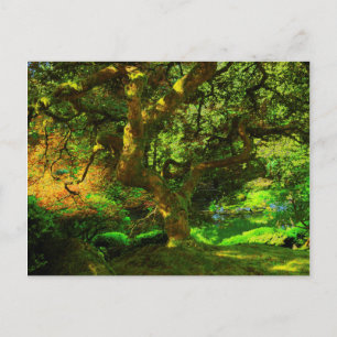 Carte Postale Été, jardin japonais de Portland, Portland