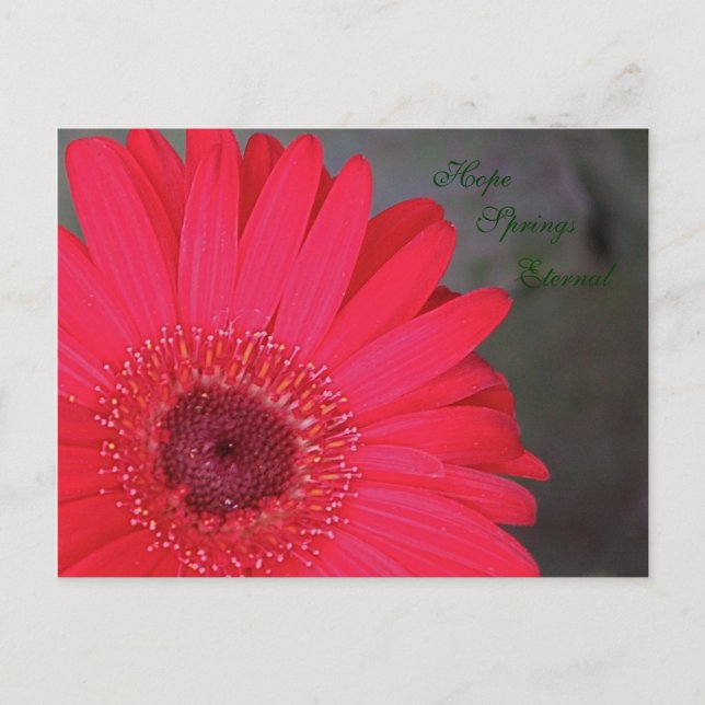 Carte postale Eternal Springs (Devant)