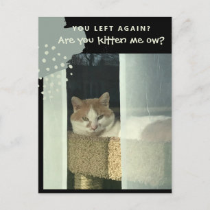 Carte Postale Êtes-vous en train de me chatouiller ô chat sur pe