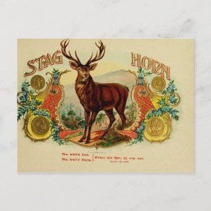 Carte Postale Étiquette de boîte à cigares vintage
