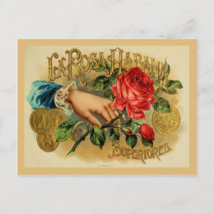Carte Postale Étiquette de boîte à cigares vintage