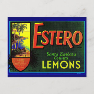 Carte Postale étiquette de caisses de citrons Estero dans les an