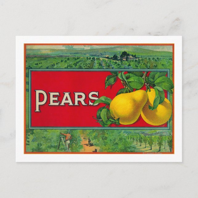 Carte Postale Étiquette de fréquence Stock (Devant)