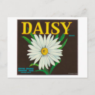 Carte Postale Étiquette de la marque Daisy Citrus Crate