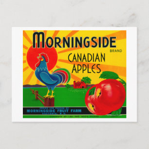 Carte Postale Étiquette de la pomme de Morningside Canada