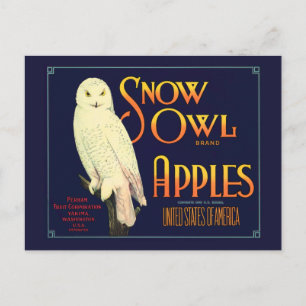 Carte Postale Étiquette des pommes de la Chouette à neige vintag