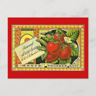 Carte Postale Étiquette Vintage de caisse de fraises Thurber