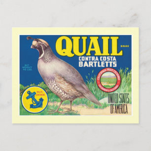 Carte Postale Étiquette vintage de produits alimentaires