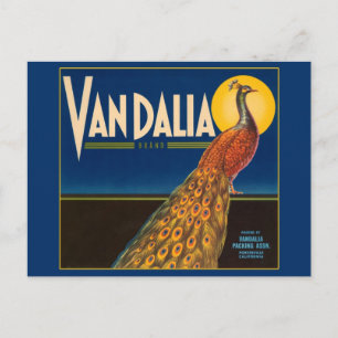 Carte Postale Étiquette vintage de tourbe de paon