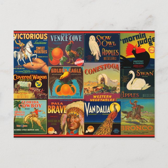 Carte Postale Étiquettes vintages de fruits (Devant)