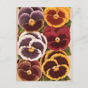 Carte Postale Étiquettes vintages de paquets de semences, Fleurs