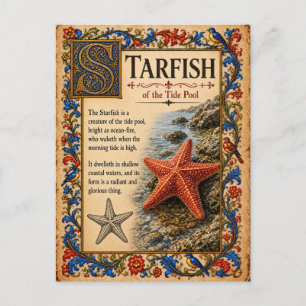 Carte Postale Étoile de mer, Art de Bestiaire Médiéval