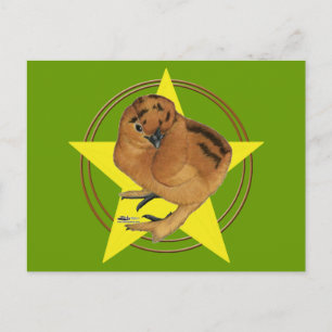 Carte Postale Étoile de poussin rouge Silkie