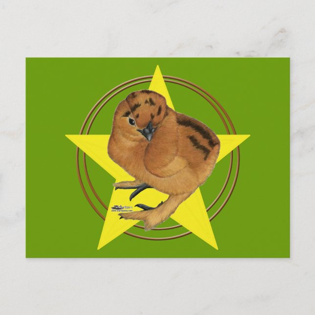 Carte Postale Étoile de poussin rouge Silkie (Devant)