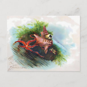 Carte Postale Étoiles de mer et coquillages de Noël victoriens
