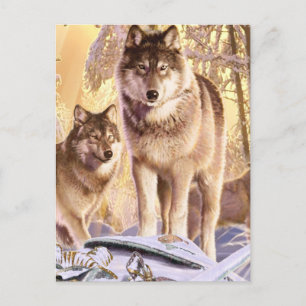 Carte Postale "Étoiles sous la neige"