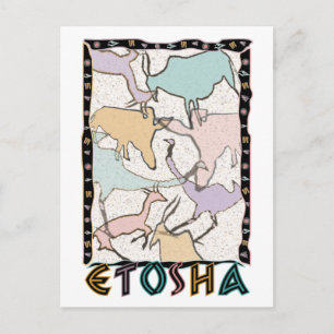 Carte postale Etosha