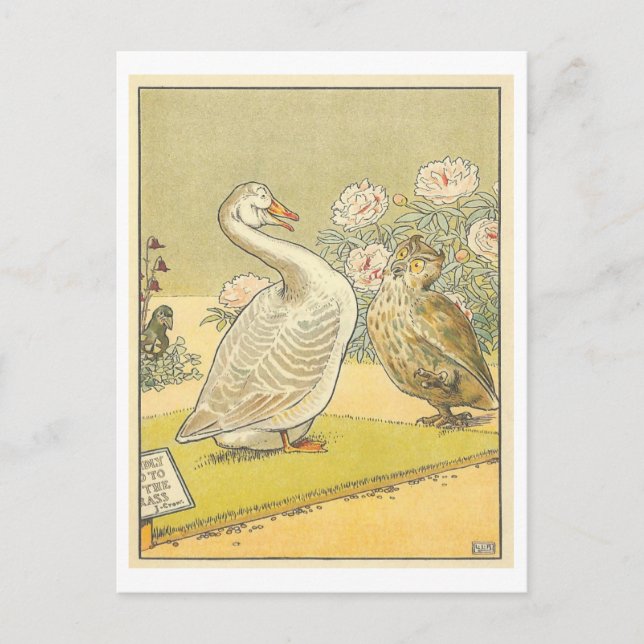 Carte Postale Étrange illustration Vintage avec l'oie et la chou (Devant)