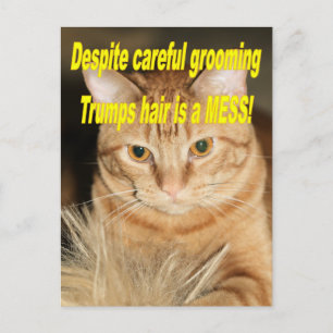 Carte Postale Étrange vieux Trump