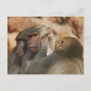Carte Postale Être attentif les uns aux autres