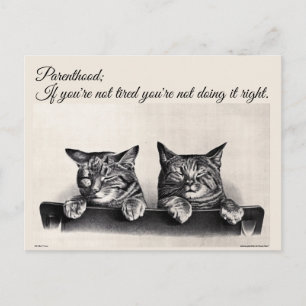 Carte Postale Être fatigué et être un parent, Chats endormis