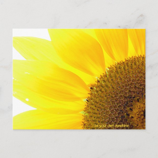 Carte Postale être votre propre tournesol (Devant)