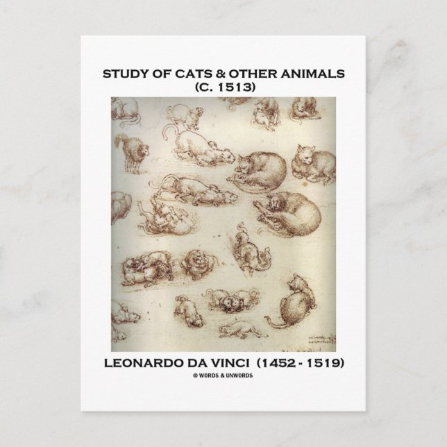 Carte Postale Étude de chats et autres animaux (Léonard de Vinci (Devant)