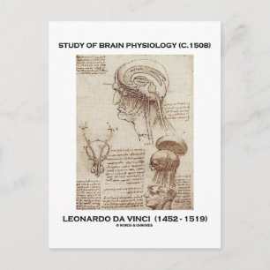 Carte Postale Étude De Physiologie Du Cerveau (Leonardo da Vinci