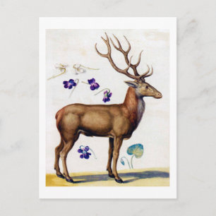 Carte Postale Étude des cerfs et des fleurs, Arcimboldo