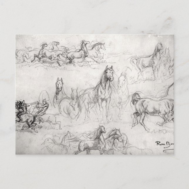 Carte Postale Étude des chevaux (Devant)