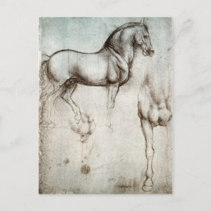 Carte Postale Étude des chevaux - Léonard de Vinci