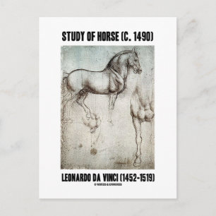 Carte Postale Étude du cheval (c. 1490) Léonard de Vinci