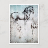 Étude du cheval, Léonard de Vinci