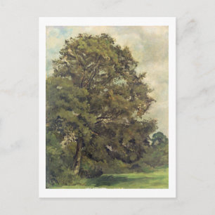 Carte Postale Étude d'un arbre cendré, c.1851 (huile sur papier