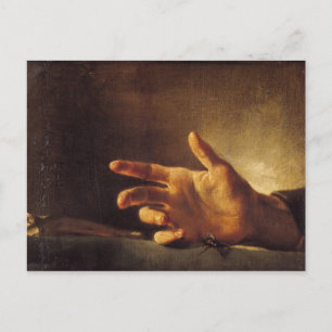Carte Postale Étude d'une main
